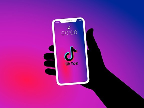 Bild von iXimus auf Pixabay.